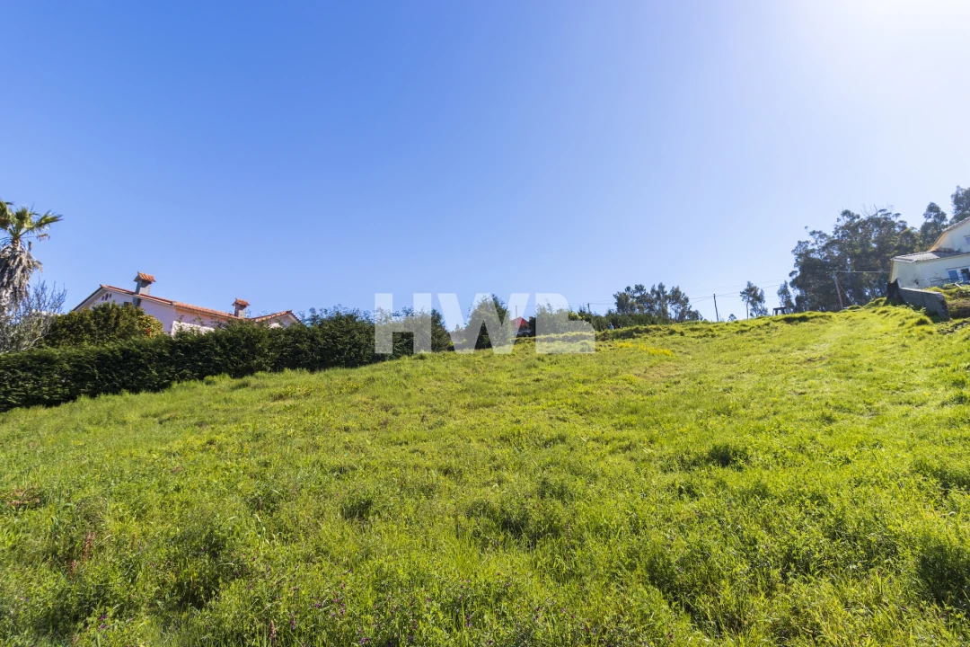 Terreno Agricola ou Rústico para Venda em Ponta do Pargo Foto 7