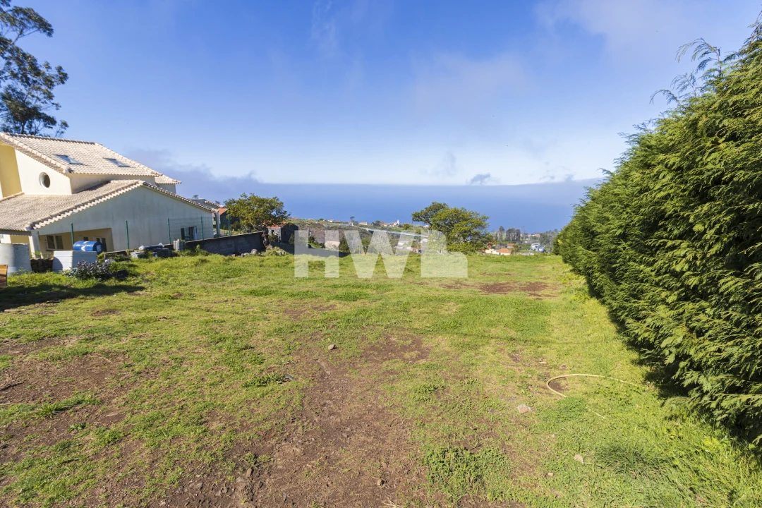 Terreno Agricola ou Rústico para Venda em Ponta do Pargo Foto 3