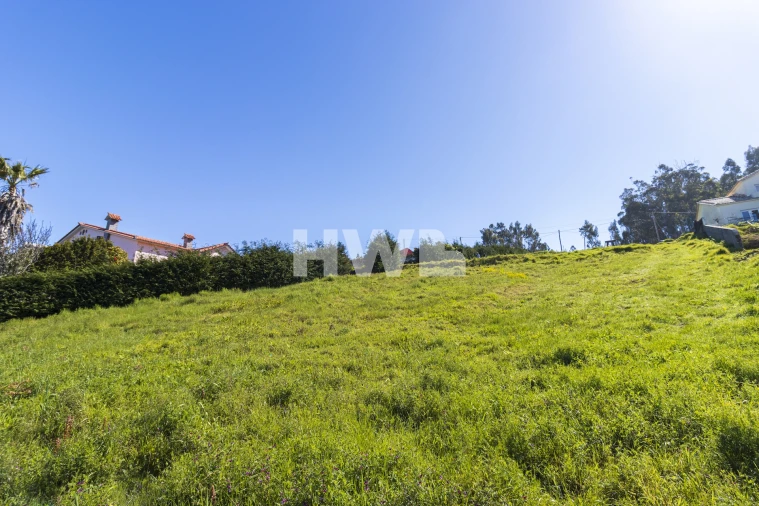 Terreno Agricola ou Rústico para Venda em Ponta do Pargo Foto 7