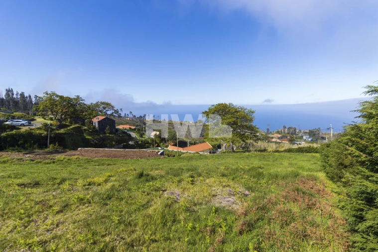 Terreno Agricola ou Rústico para Venda em Ponta do Pargo Foto 4