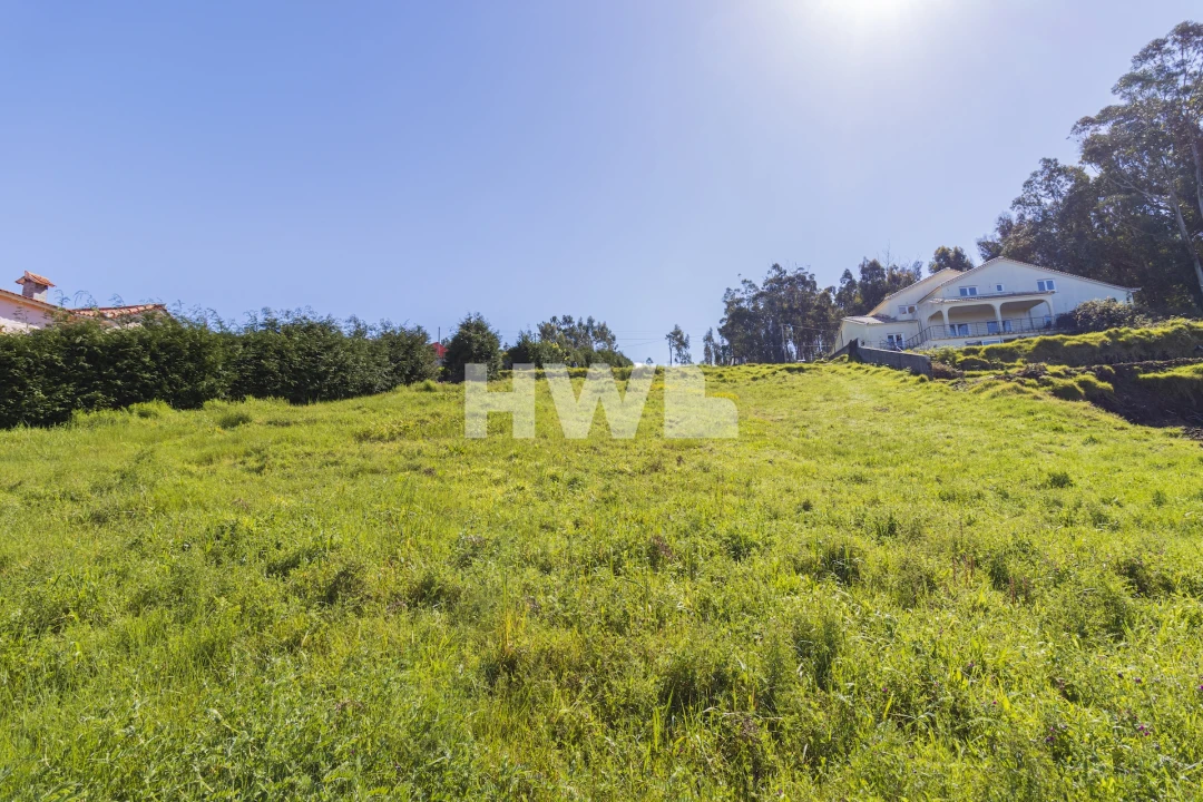 Terreno Agricola ou Rústico para Venda em Ponta do Pargo Foto 11