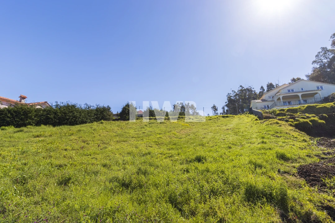 Terreno Agricola ou Rústico para Venda em Ponta do Pargo Foto 8