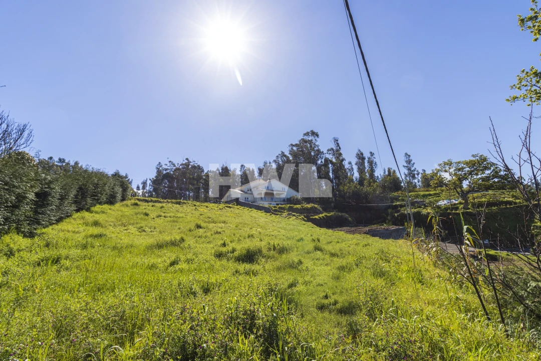 Terreno Agricola ou Rústico para Venda em Ponta do Pargo Foto 9