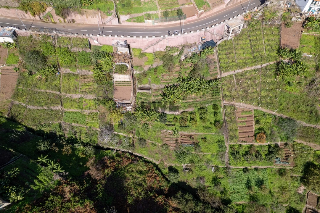 Terreno para Venda em Estreito de Camara de Lobos Foto 5