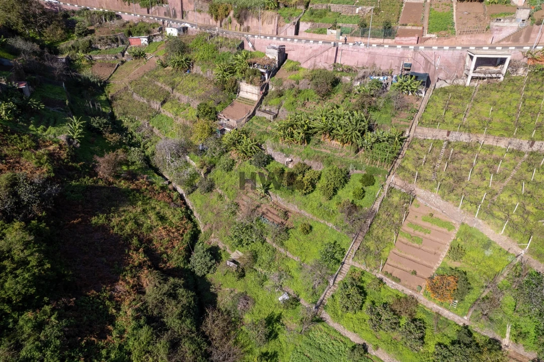 Terreno para Venda em Estreito de Camara de Lobos Foto 7