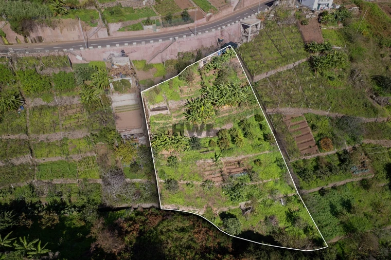 Terreno para Venda em Estreito de Camara de Lobos Foto 4