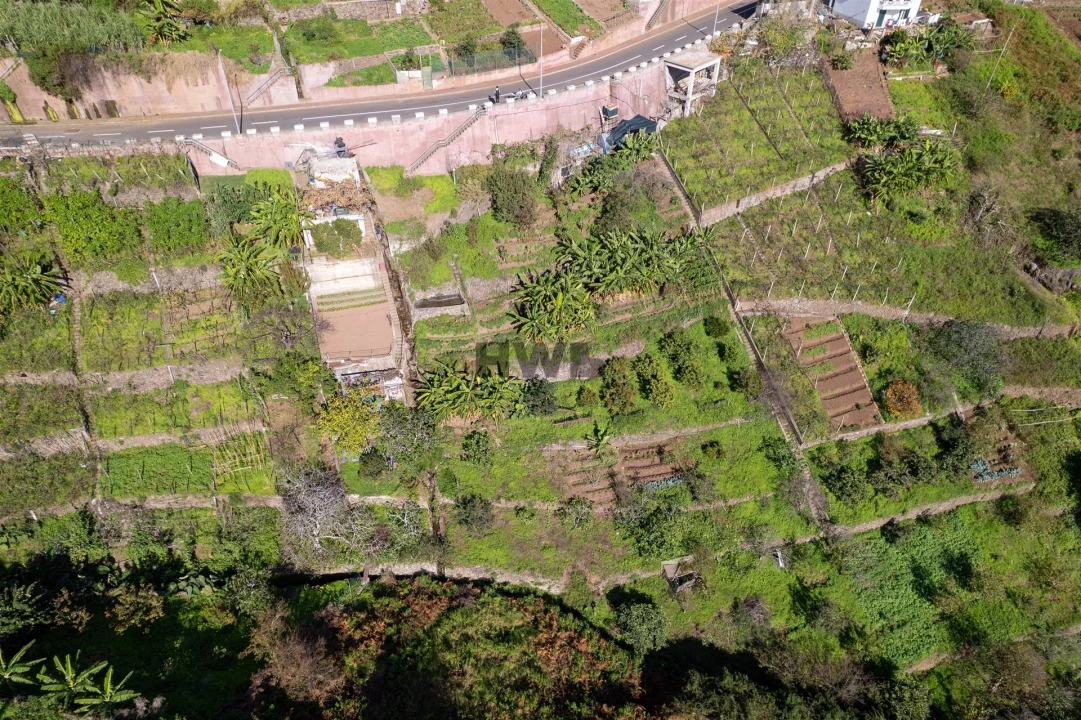 Terreno para Venda em Estreito de Camara de Lobos Foto 8