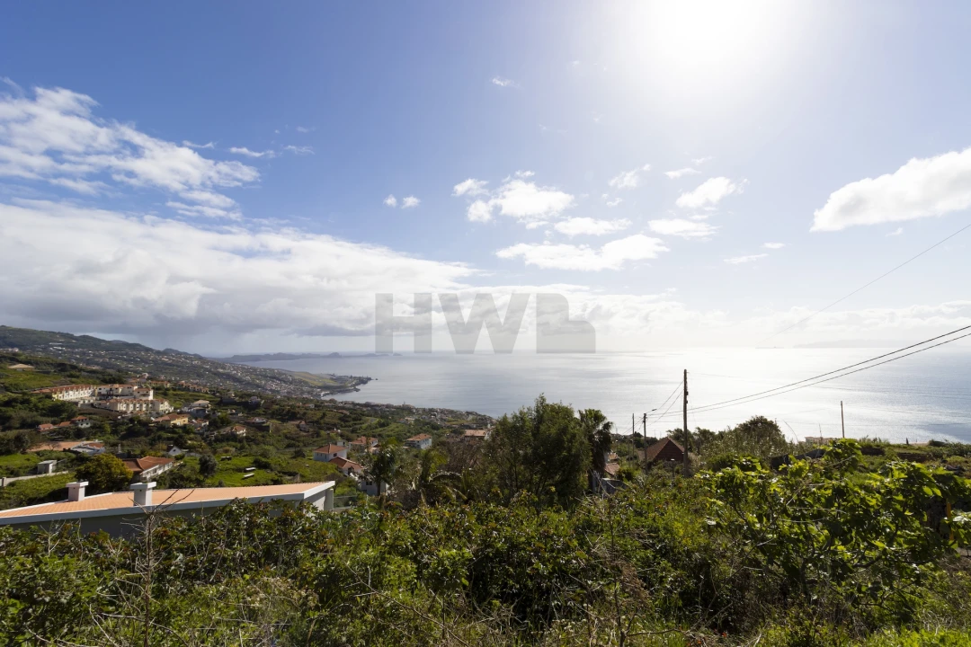 Terreno Agricola ou Rústico para Venda em Gaula Foto 10