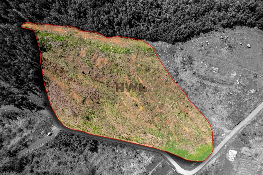 Terreno para Venda em Santo Antonio da Serra Foto 1