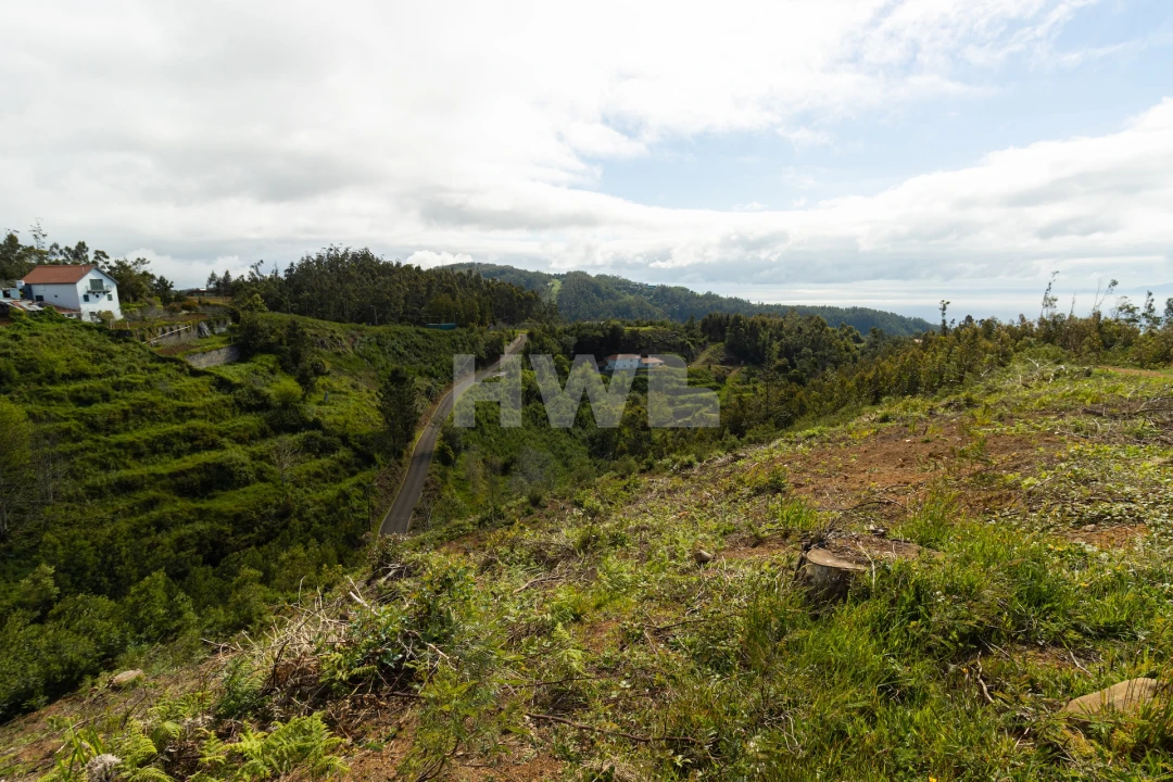 Terreno para Venda em Santo Antonio da Serra Foto 6