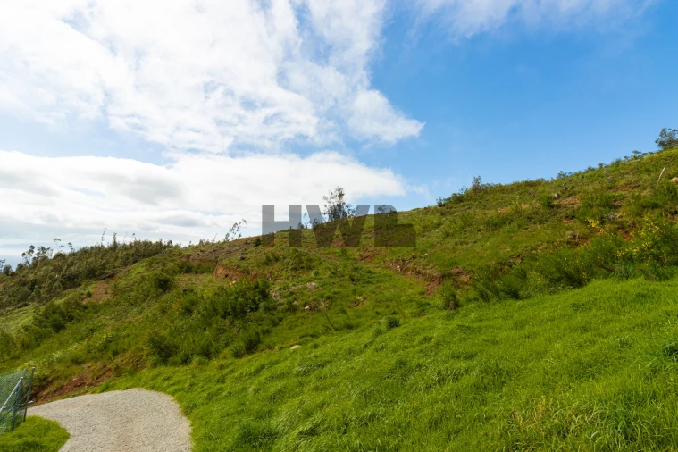 Terreno para Venda em Santo Antonio da Serra Foto 14