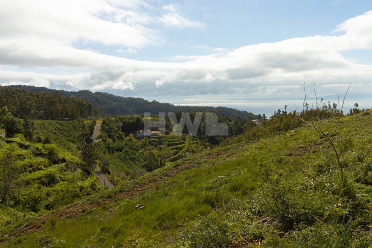 Terreno para Venda em Santo Antonio da Serra Foto 3