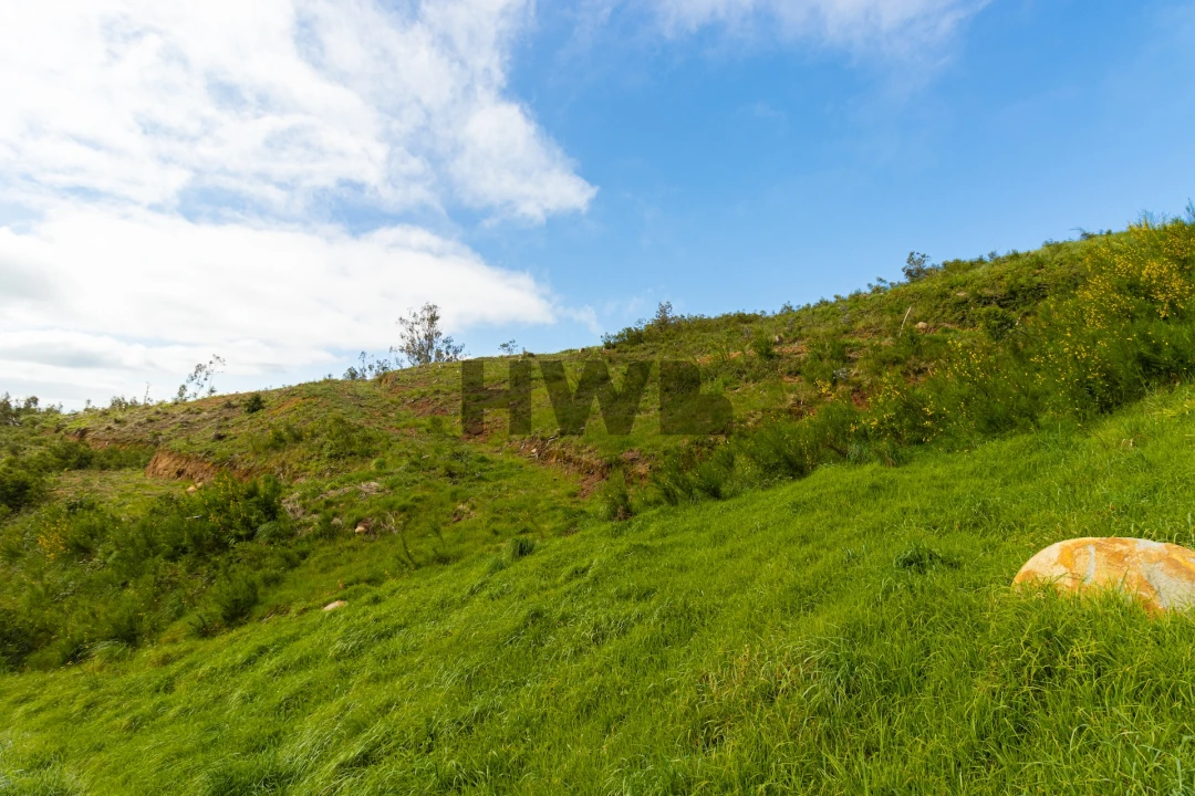 Terreno para Venda em Santo Antonio da Serra Foto 2