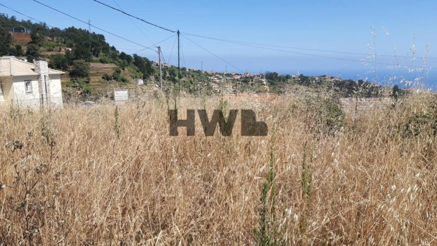 Terreno Agricola ou Rústico para Venda em Canhas Foto 11