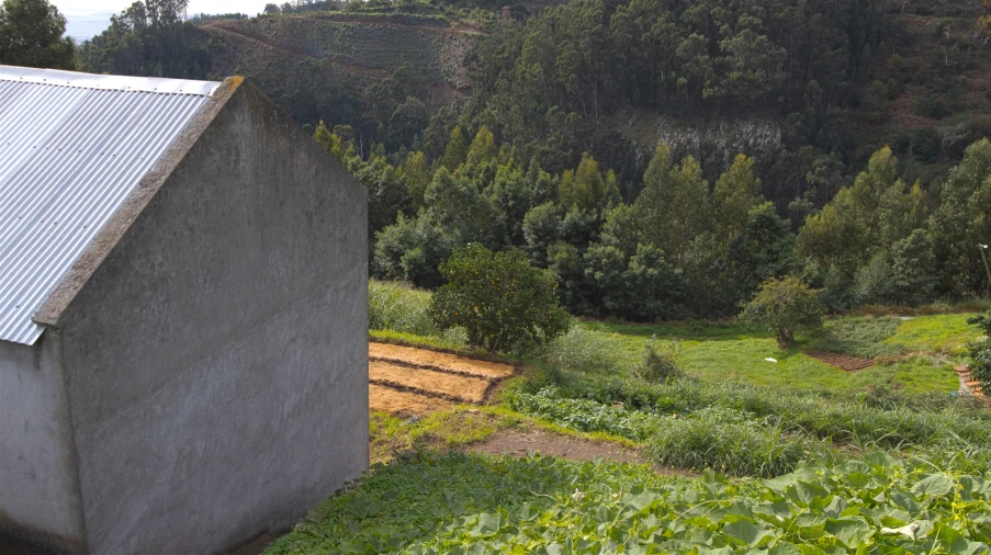 Terreno Agricola ou Rústico para Venda em Santa Cruz Foto 4