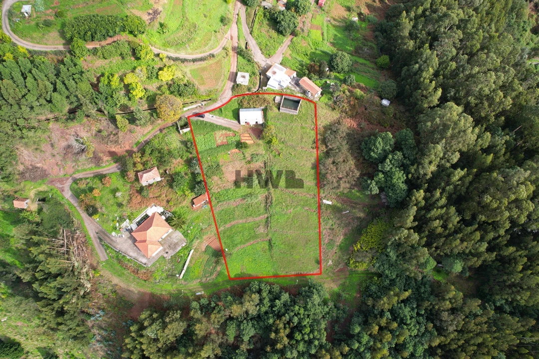 Terreno Agricola ou Rústico para Venda em Santa Cruz Foto 5