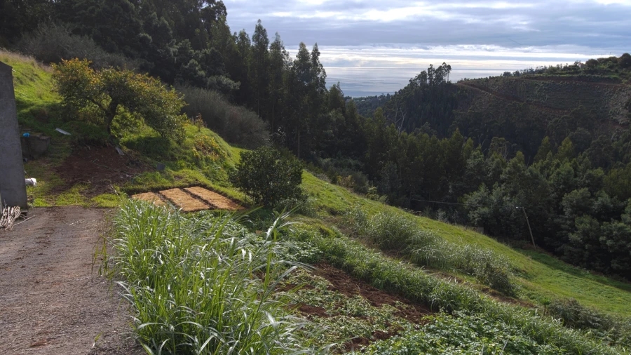 Terreno Agricola ou Rústico para Venda em Santa Cruz