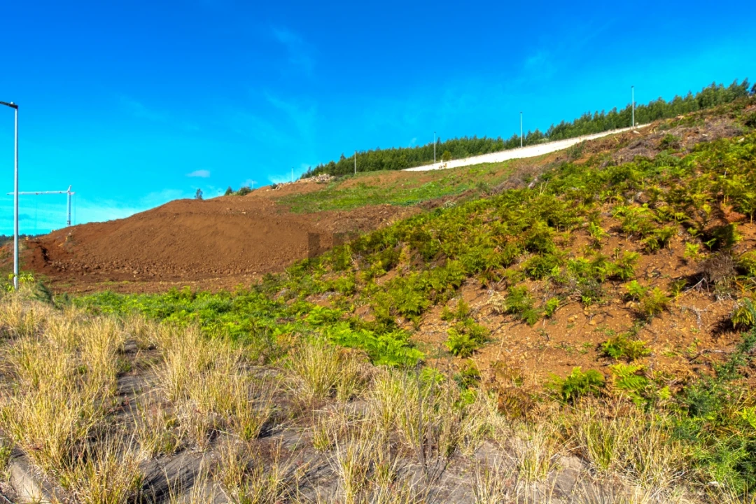 Terreno para Venda em Santa Cruz Foto 4