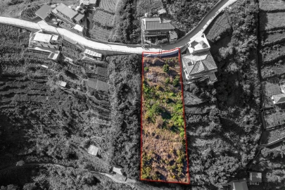 Terreno para Venda em Ribeira Brava
