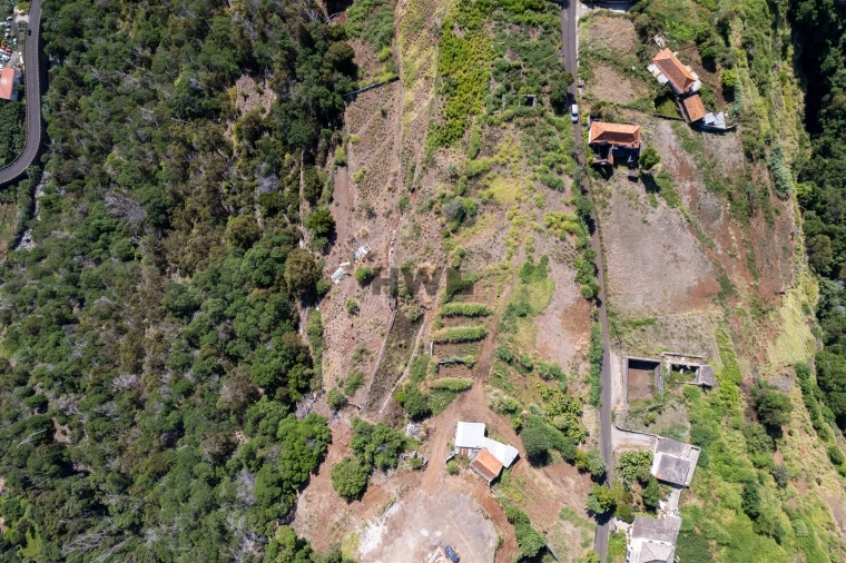 Terreno para Venda em Santa Cruz Foto 4