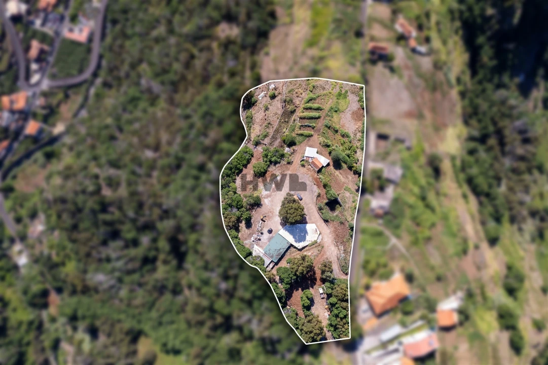 Terreno para Venda em Santa Cruz Foto 5