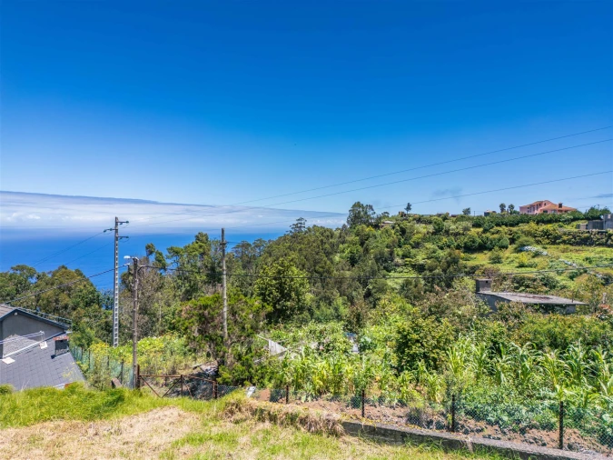 Terreno para Venda em São Jorge Foto 21