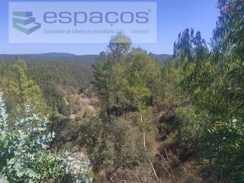 Terreno Agricola ou Rústico para Venda em Castelo Branco Foto 3