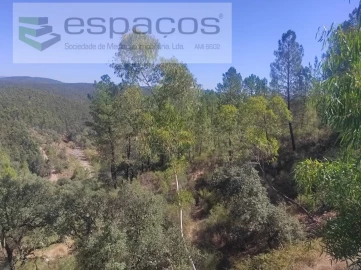 Terreno Agricola ou Rústico para Venda em Castelo Branco