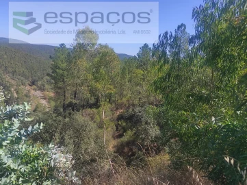 Terreno Agricola ou Rústico para Venda em Castelo Branco