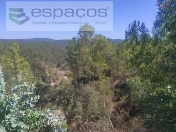 Terreno Agricola ou Rústico para Venda em Castelo Branco