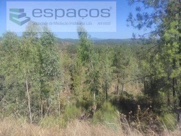 Terreno Agricola ou Rústico para Venda em Castelo Branco