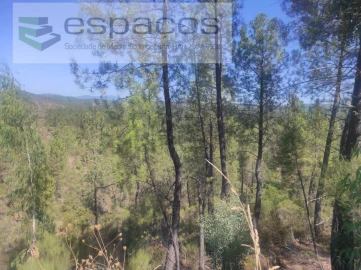 Terreno Agricola ou Rústico para Venda em Castelo Branco