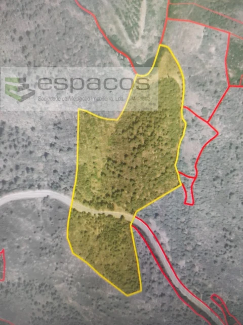 Terreno Agricola ou Rústico para Venda em Castelo Branco