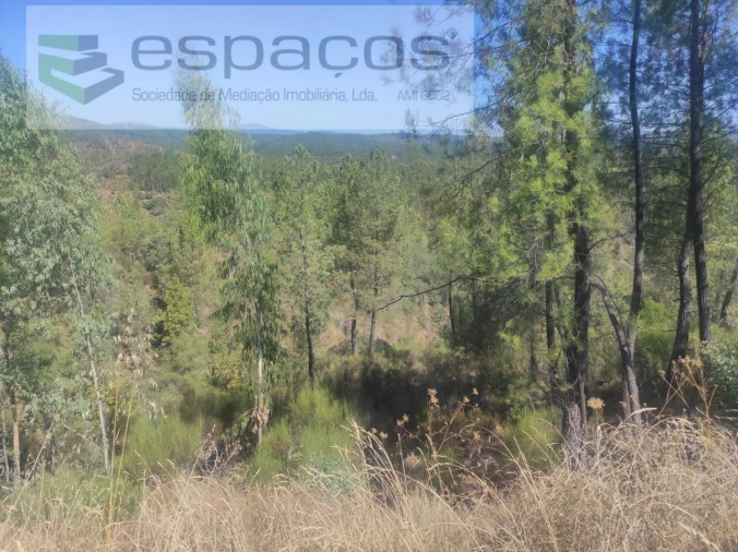 Terreno Agricola ou Rústico para Venda em Castelo Branco Foto 5
