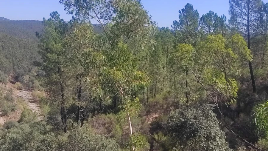 Terreno Agricola ou Rústico para Venda em Castelo Branco