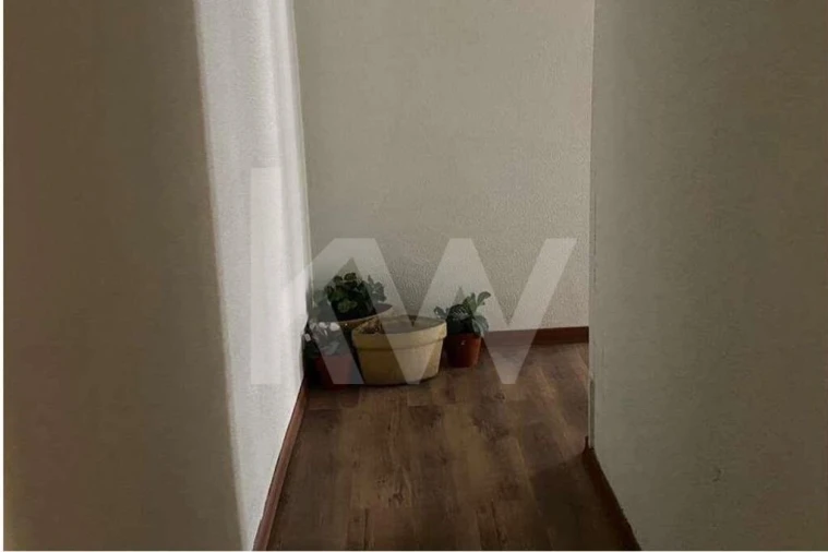 Loja para Venda em Santa Maria Maior Foto 19