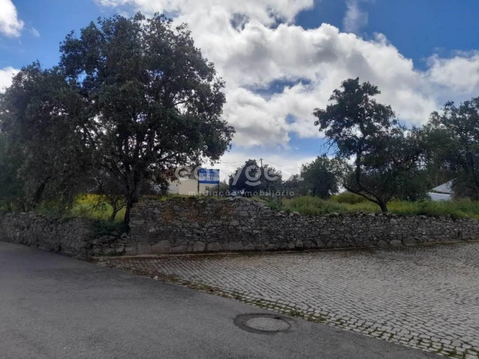 Moradia T2 para Venda em São Miguel do Pinheiro, São Pedro de Solis, São Sebastião dos Carros Foto 9