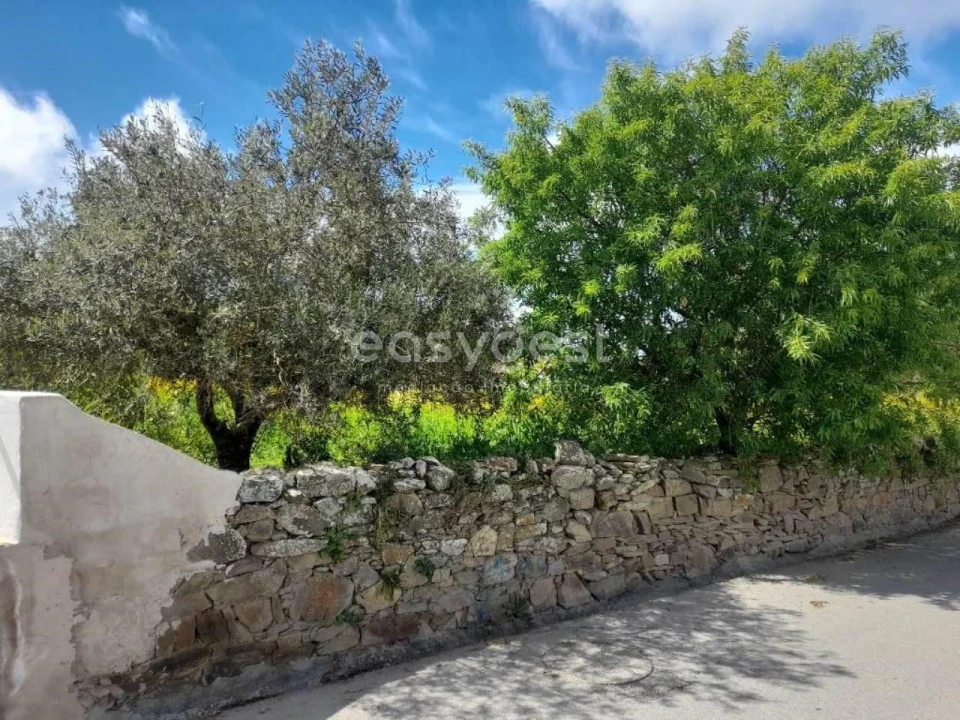 Moradia T2 para Venda em São Miguel do Pinheiro, São Pedro de Solis, São Sebastião dos Carros Foto 10