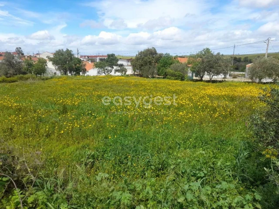 Moradia T2 para Venda em São Miguel do Pinheiro, São Pedro de Solis, São Sebastião dos Carros Foto 13