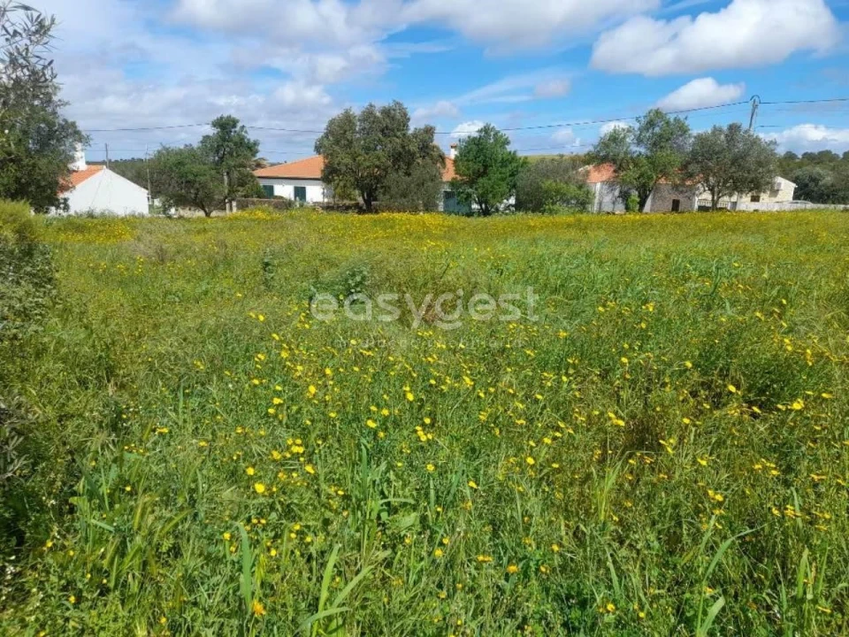Moradia T2 para Venda em São Miguel do Pinheiro, São Pedro de Solis, São Sebastião dos Carros Foto 14