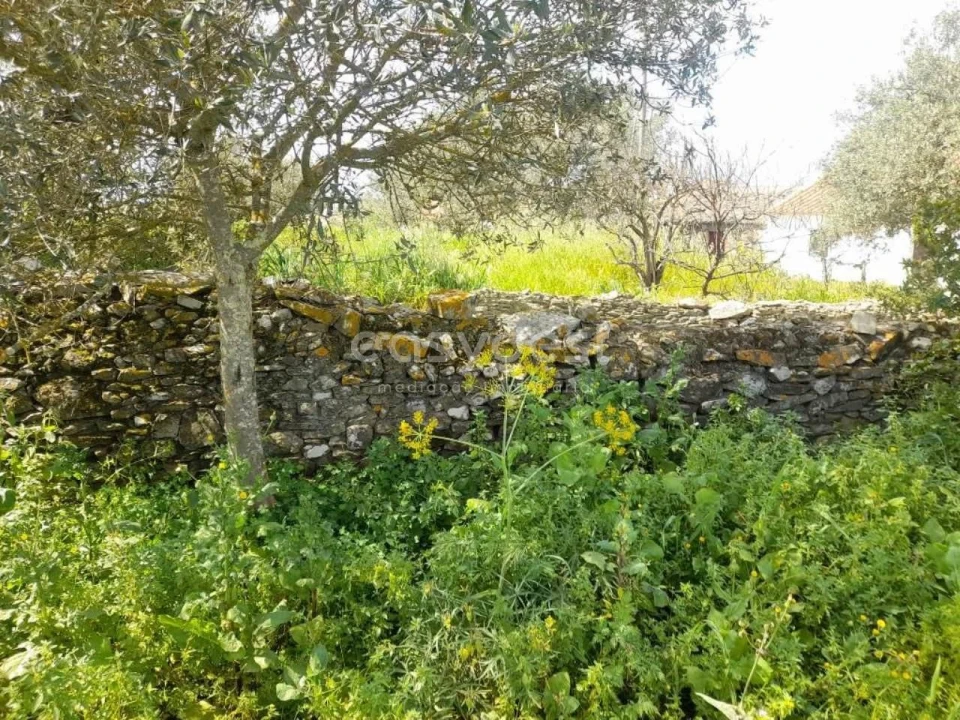 Moradia T2 para Venda em São Miguel do Pinheiro, São Pedro de Solis, São Sebastião dos Carros Foto 15