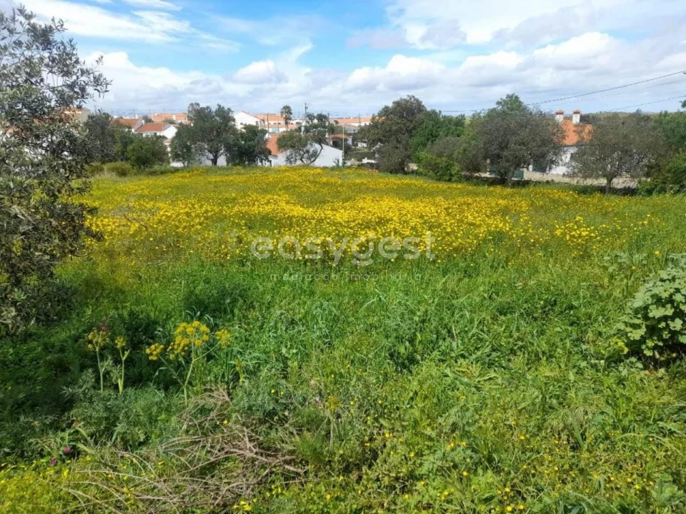 Moradia T2 para Venda em São Miguel do Pinheiro, São Pedro de Solis, São Sebastião dos Carros Foto 17