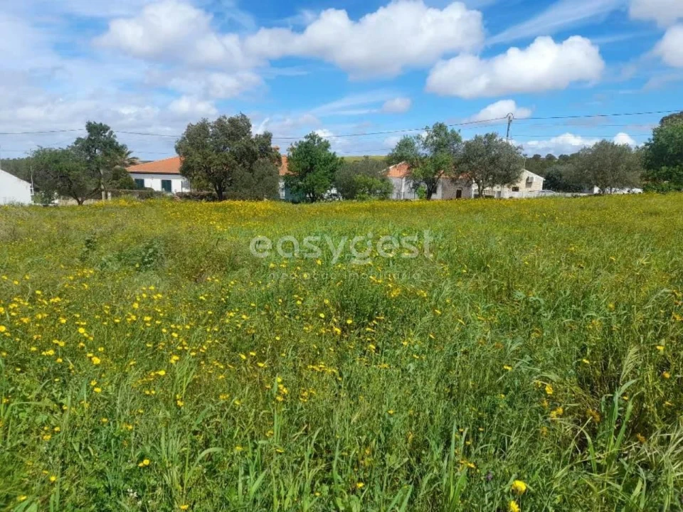 Moradia T2 para Venda em São Miguel do Pinheiro, São Pedro de Solis, São Sebastião dos Carros Foto 20