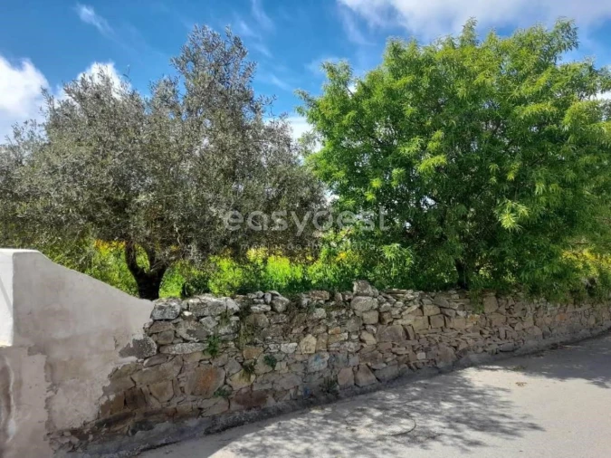 Moradia T2 para Venda em São Miguel do Pinheiro, São Pedro de Solis, São Sebastião dos Carros Foto 10