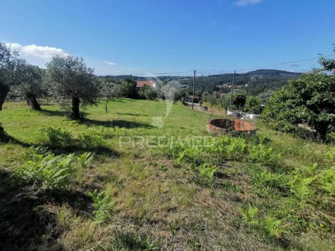 Quinta T2 para Venda em Beco Foto 10