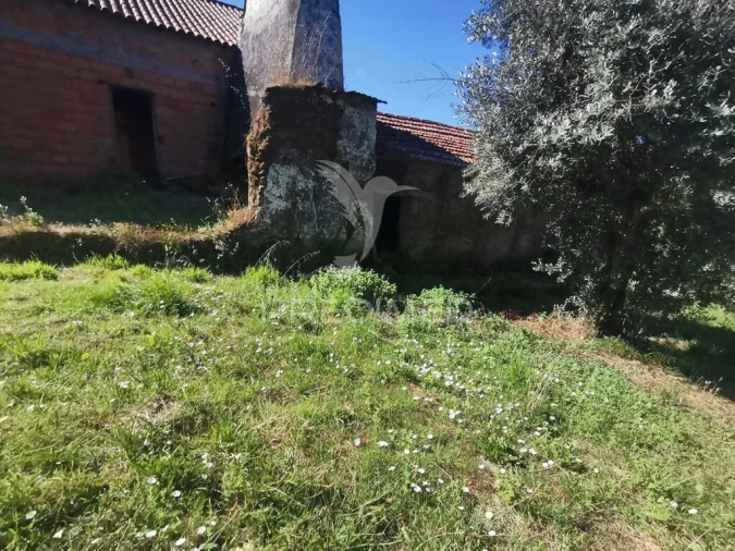 Quinta T2 para Venda em Beco Foto 8