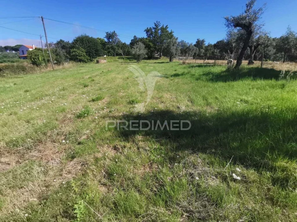 Quinta T2 para Venda em Beco Foto 11