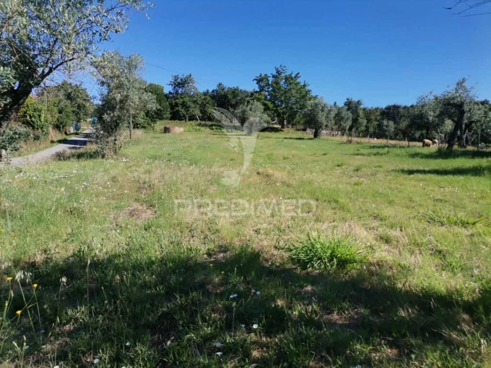 Quinta T2 para Venda em Beco Foto 12