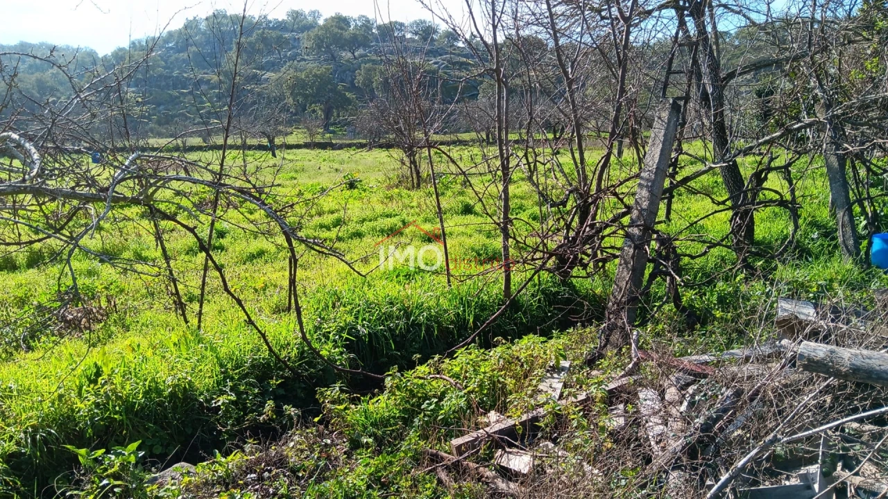 Moradia T3 para Venda em Beirã Foto 18