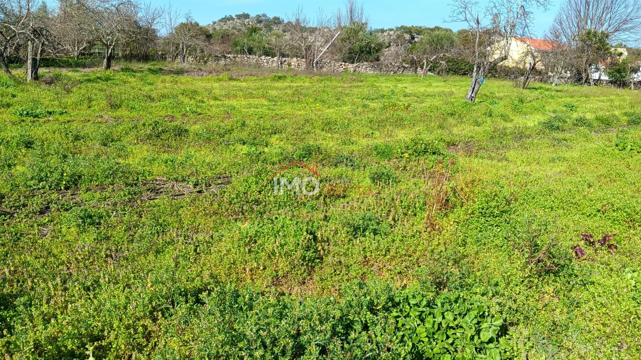 Moradia T3 para Venda em Beirã Foto 21